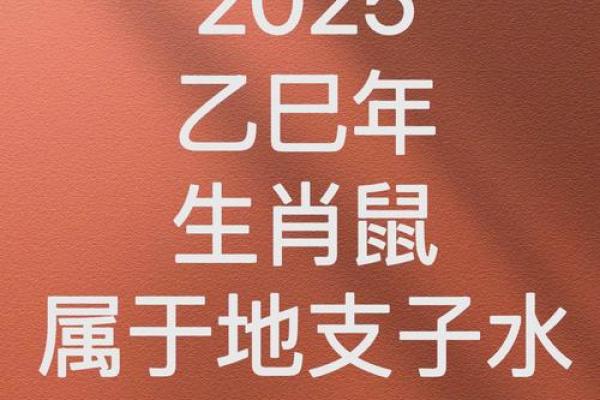 2020年鼠年命运解析：探秘鼠年出生人的性格与未来