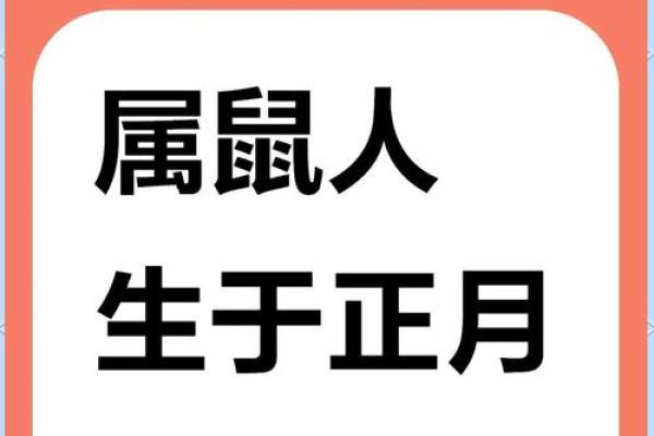 2020年鼠年命运解析：探秘鼠年出生人的性格与未来