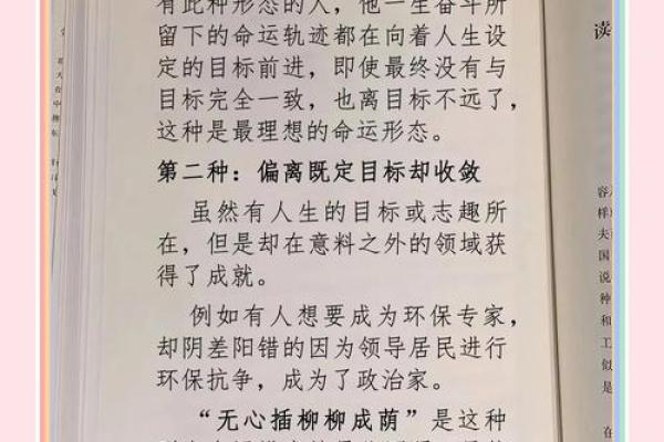 探索命理：属什么就是什么命的人生轨迹与思考