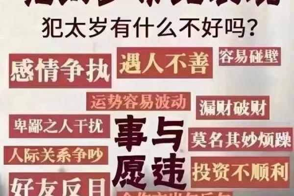 探寻“杀命提刑新命犯”的深层含义与影响