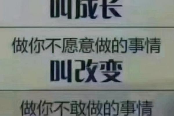 张耀扬命格解析：对命运的思考与探索
