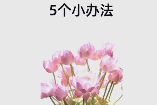 大溪水命与财富之道：探寻命格中的好运气与钱财运势