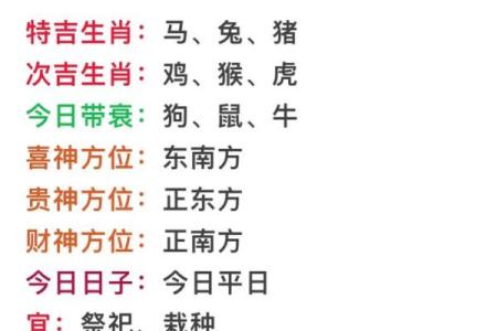 2023年71岁属兔的八字命理解读与人生智慧