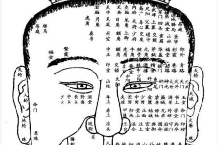 探秘面相学：额头突出的命运解析与人生启示
