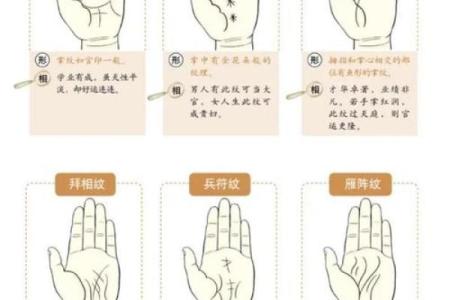 探秘女人左手掌纹：揭示命运与未来的秘密