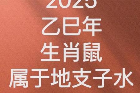 2020年鼠年命运解析：探秘鼠年出生人的性格与未来