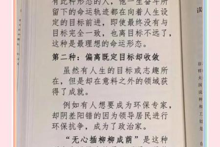 探索命理：属什么就是什么命的人生轨迹与思考