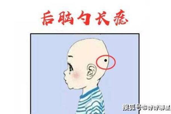 富贵命的娃娃：揭开名字背后的秘密与魅力