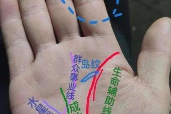 为什么断掌命运如此坎坷：探寻背后的原因与启示