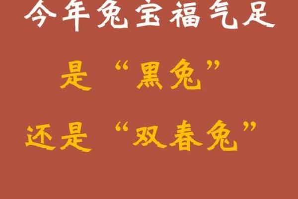 2023年卯兔的命运解析：探索兔年给你的机遇与挑战