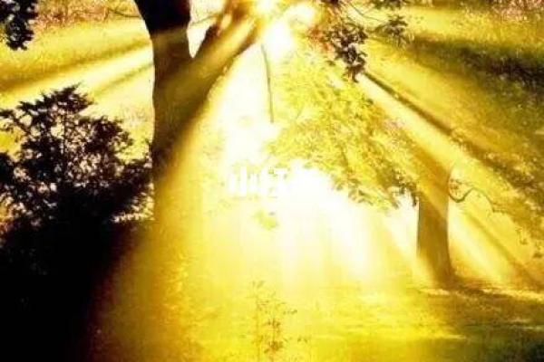 2007年出生的人命格解析：开启美好人生的钥匙