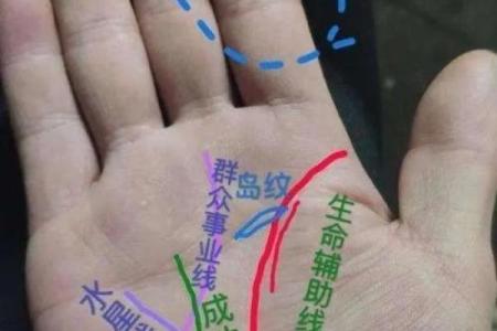 为什么断掌命运如此坎坷：探寻背后的原因与启示