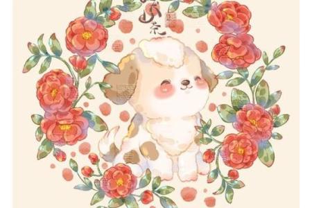 从鼠年出生的人，哪个月份命运最旺？探秘生肖鼠的吉月！