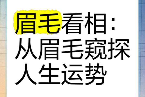 探索眉毛长短之命运：眉毛与个性、运势的深层关系