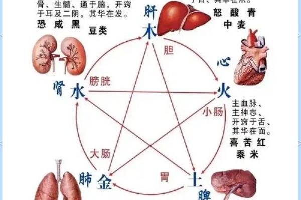 炉中火与土命的和谐共生：探索命理的智慧与人生的方向