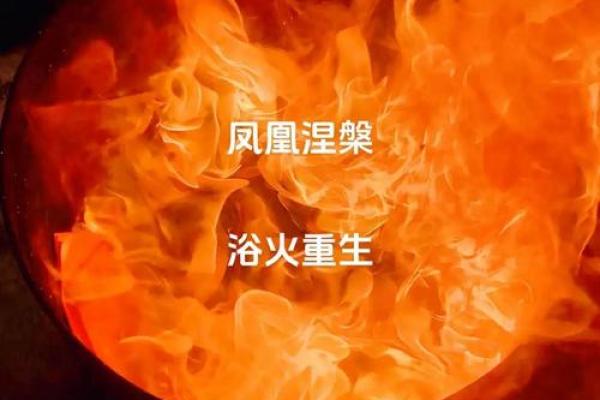 火命人士适合做哪些生意？探索适合火命的创业方向