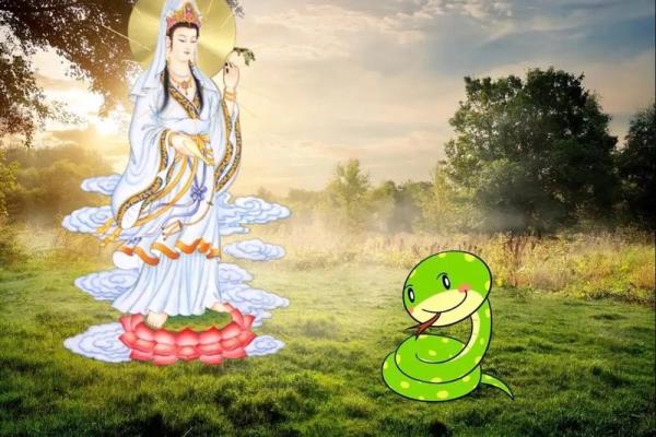 1977属蛇命缺什么？揭示蛇年人的人生方向与缺失