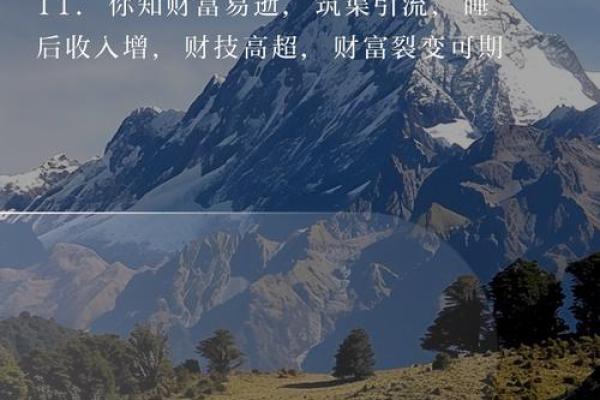 金命与木命的最佳生意选择：让财富与智慧共舞