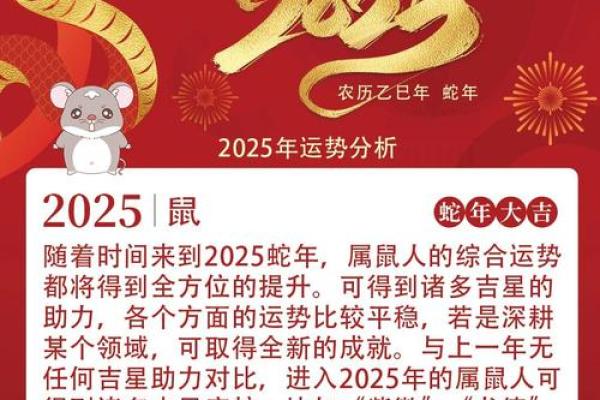 2020年鼠年出生的人命运解析：如何发掘潜能与优势？