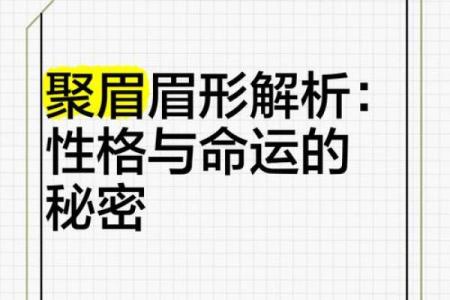 探索眉毛长短之命运：眉毛与个性、运势的深层关系