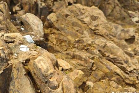 1994年11月：岁月的印记与生命的感悟