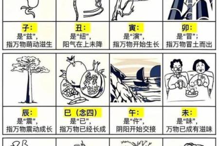 2001年蛇年出生的命格解析：象征智慧与革新的生命之路