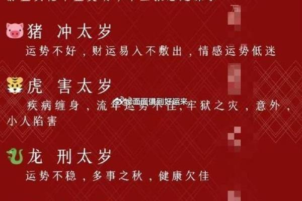 2019年属猪，猪年的命理与运势探析：家运兴旺与财富之道