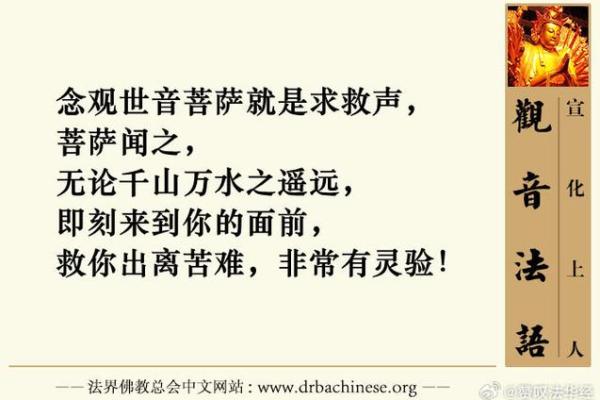 探秘菩萨命：人间菩萨的心灵旅程与生活智慧