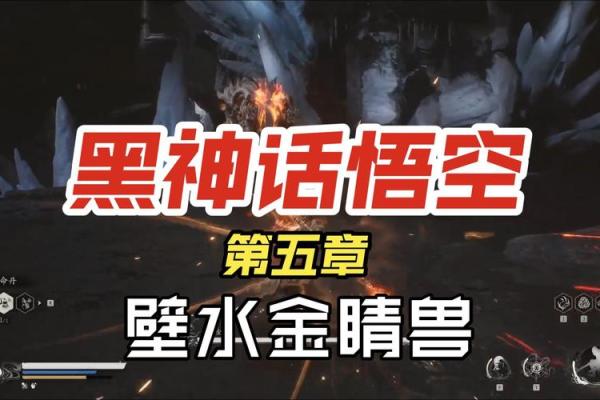 黑水猴子的命适合什么颜色？探秘色彩与命理的奇妙关联