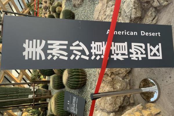 甲午年出生的人：命运与特质的探索之旅