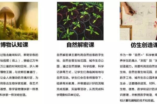 解密1962年：当年出生的人命运与性格的奇妙联系