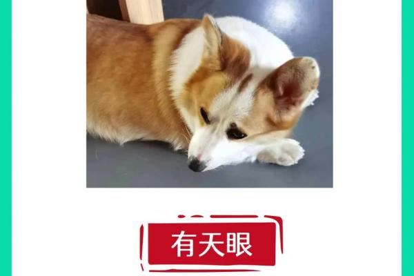 揭秘：五大命理特点，最旺财的女性必备特质！