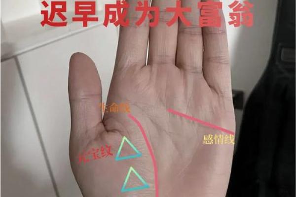 揭秘手相：短命男的命运密码与影响因素