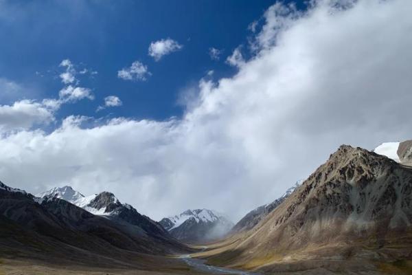 2024年属龙人命运分析：走向辉煌与挑战并存的旅程