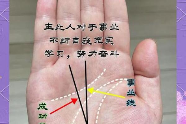 探索2018壬戌年命运奥秘，寻找属于你的生命智慧