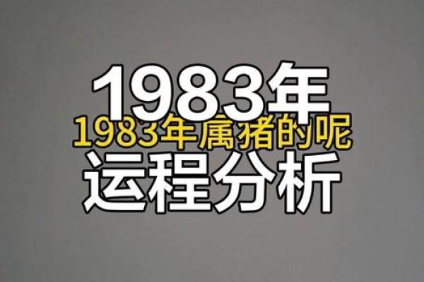 1983年4月出生的属猪人，命运与性格解析
