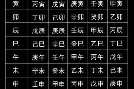 探索辛未庚寅乙卯乙酉八字命理，解读命运密码与人生哲理