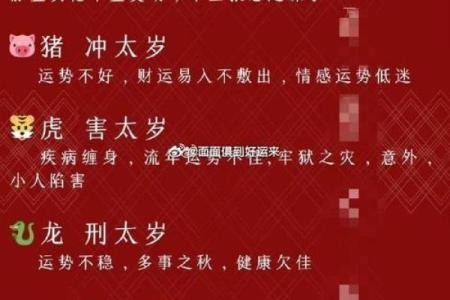 2019年属猪，猪年的命理与运势探析：家运兴旺与财富之道
