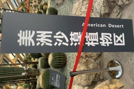 甲午年出生的人：命运与特质的探索之旅