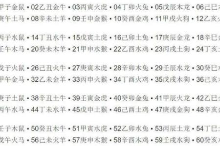 丙辰日柱：探寻火龙命的奥秘与人生启示