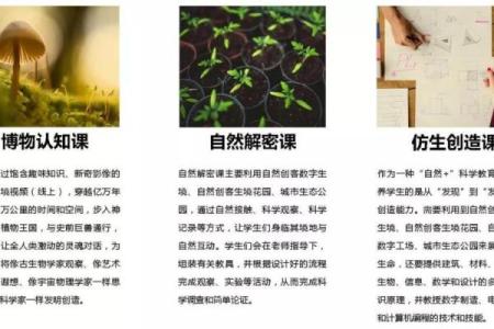 解密1962年：当年出生的人命运与性格的奇妙联系