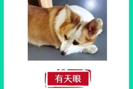 揭秘：五大命理特点，最旺财的女性必备特质！