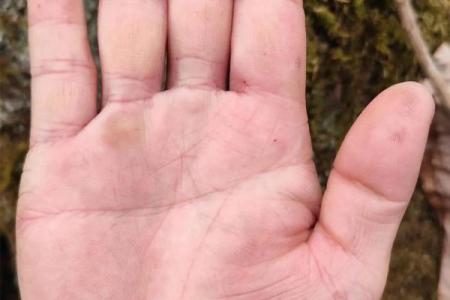 揭秘手相：短命男的命运密码与影响因素