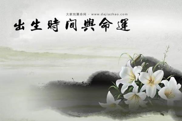 1987年11月出生者的命运与人生探索