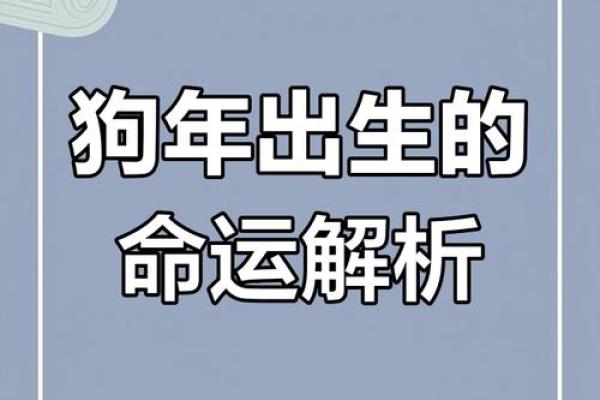 1983年出生的人属于狗年，他们的命运与性格分析
