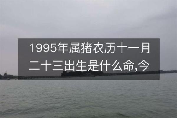 1995年出生的人，解析其金命特征与命运之路