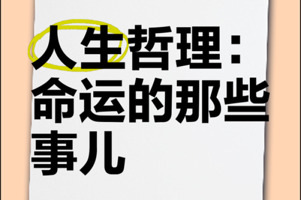1980年出生的男性命运解析：生命的旅程与机遇