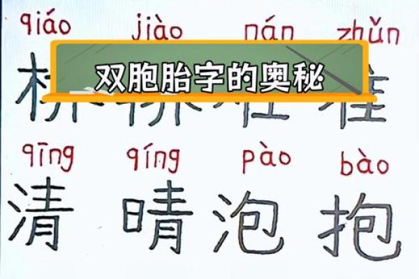 探秘汉字“命”的结构与偏旁，揭示中文的奥秘与魅力