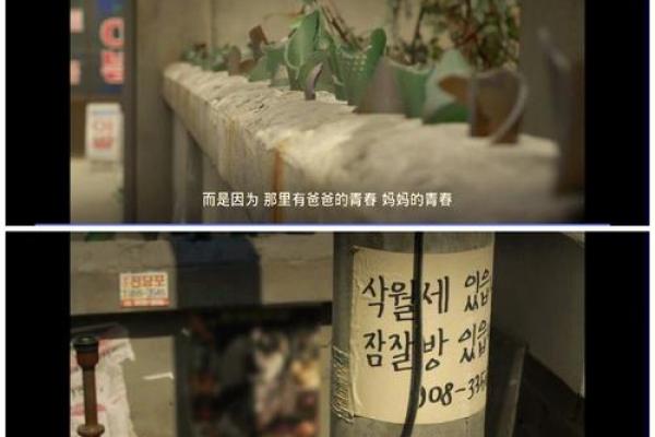 探索1988：再现那年的故事与记忆