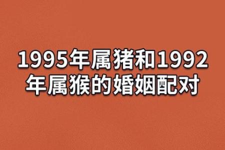 1995年出生的人，解析其金命特征与命运之路